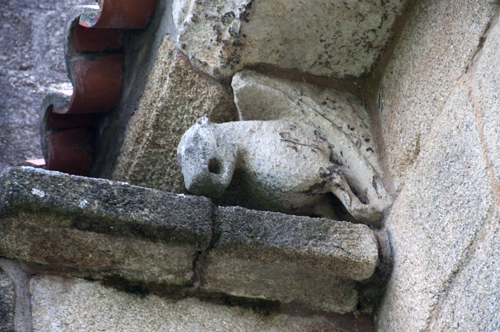 Figura de animal en canecilo del ábside de la iglesia de Ferreira do Pantón